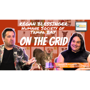On the Grid- Humane Society of Tampa Bay