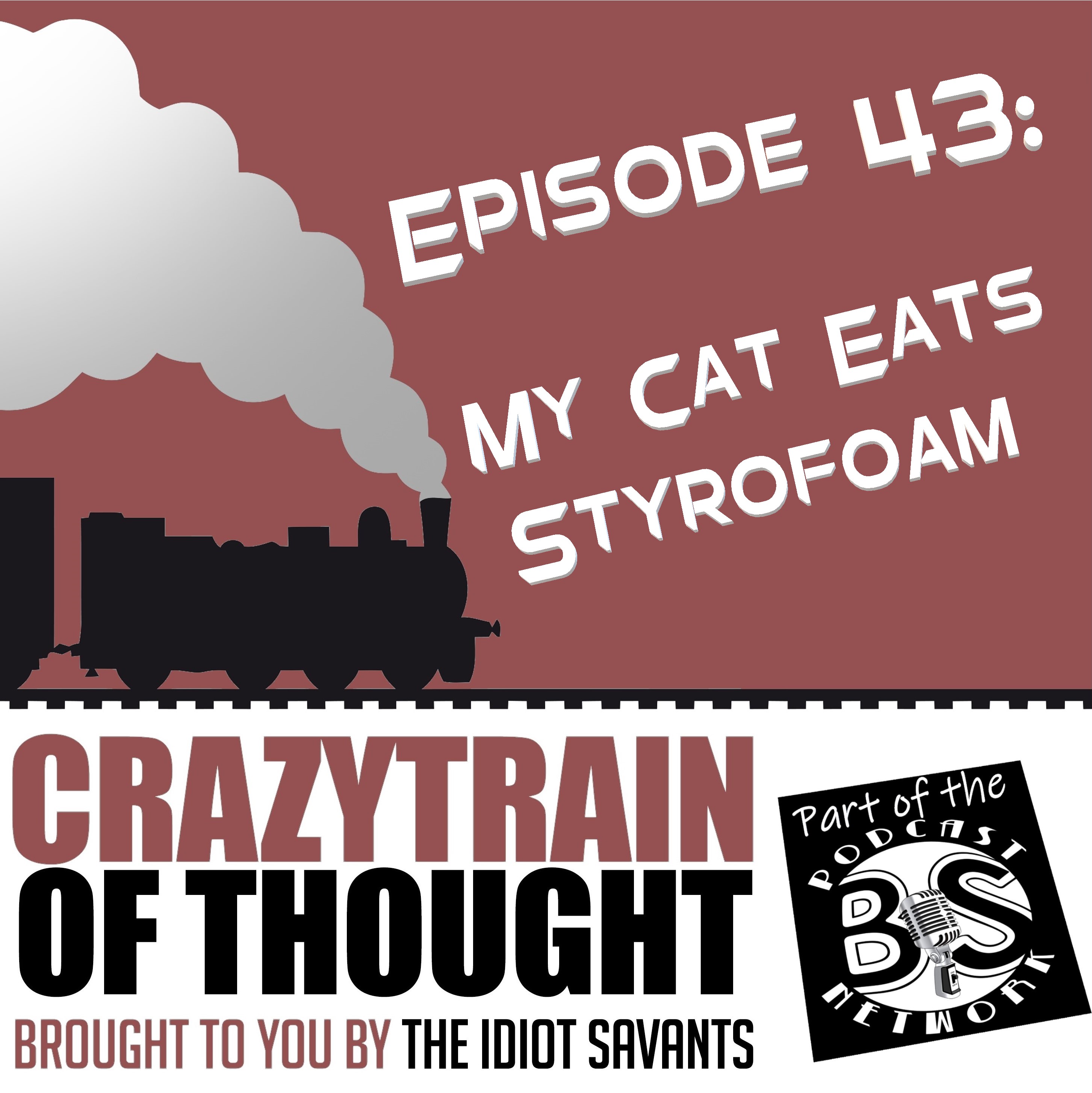 43: My Cat Eats Styrofoam