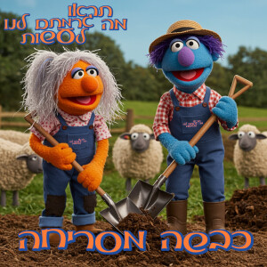 38 - כבשה מסריחה
