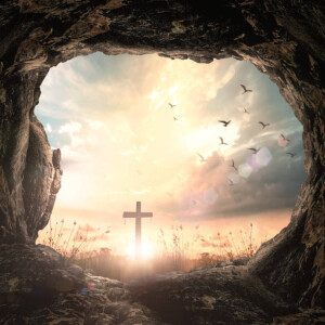 Platforms to Proclaim the Good News