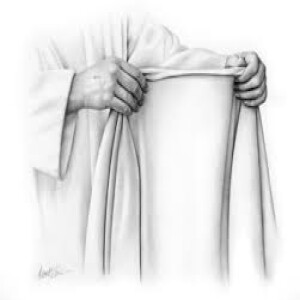 The Garment