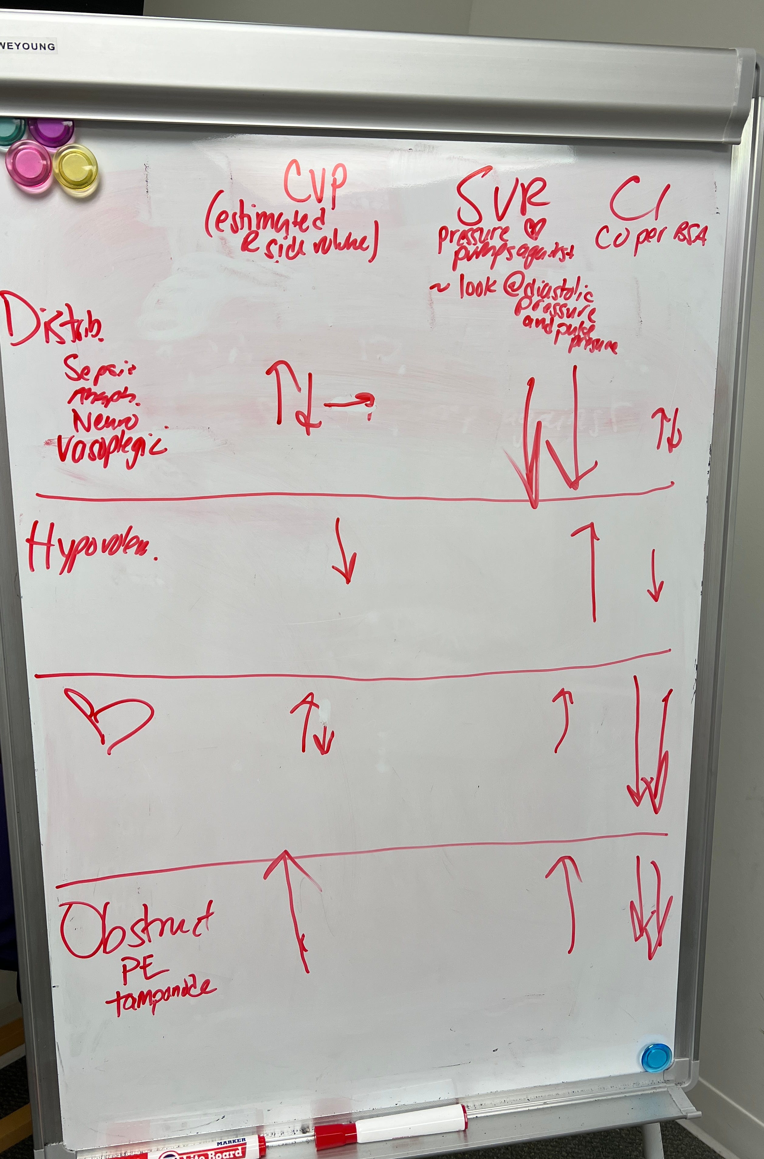 Shock and Hemodynamics