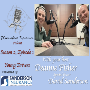S1-14: Young Driver Dillemmas