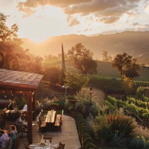 The Best in Ojai | Top-Rated Private Vineyard, Cozy Winery Estate, and Exclusive Events