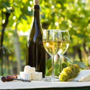 What Makes a Chardonnay Dry and Buttery? A Guide to This Rich White Wine