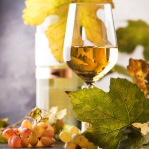 Is Pinot Grigio Sweet? Unveiling Its Taste and Color Characteristics