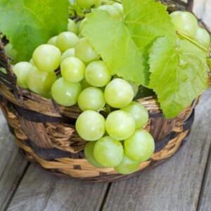 Unlocking The Secrets of Chardonnay Grapes: Characteristics and Color Explained