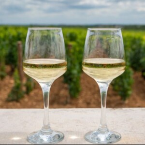 What Is Chardonnay de Bourgogne? Explore Its Color, Taste Profile, and Characteristics Through Iconic Houses Like Louis Latour and Jadot