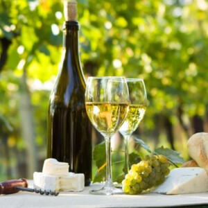 What’s the Difference Between Sauvignon Blanc vs Pinot Grigio? Discover How These Crisp White Wines Compare in Taste, Food Pairing, and Winemaking Style from CasaLoce.com