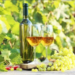 Italian Pinot Gris White Wine Explained: Explore the Crisp, Floral, and Food-Friendly Flavors of This Refreshing Italian White Wine Favorite from CasaLoce.com