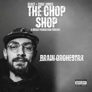 BRAINORCHESTRA / E-TOWN IS A HIPHOP GEM /