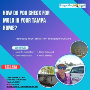 How Do You Check For Mold In Your Tampa Home?