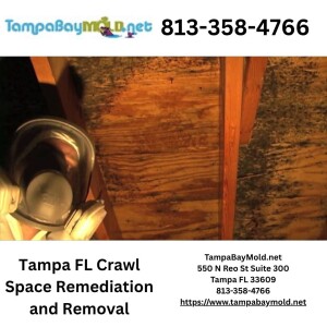 Tampa FL Crawl Space Mold Remediation And Removal