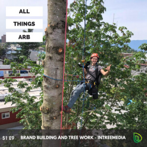 #9 Brand building and tree work - InTreeMedia