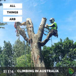 #16 Arborist Climbing in Australia