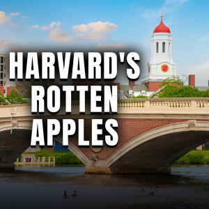 HARVARD HAS FALLEN! The once collegiate powerhouse has become a national embarrassment.