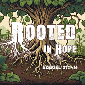 Rooted in Hope- October 6, 2024