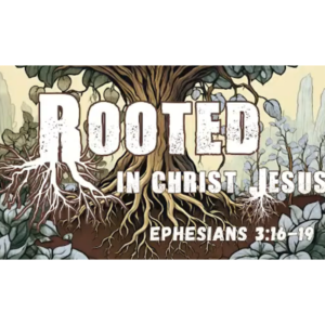 Rooted In Christ Jesus - September 15, 2024