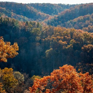 Uncovering Appalachia