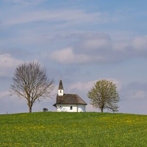 The Benefits of Green Spaces