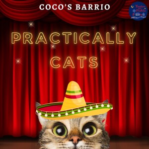 Coco’s Barrio - Practically Cats - Part 02