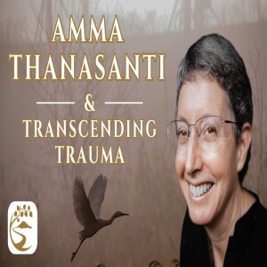 From Suffering to Safety: Trauma-Informed Dhamma | Amma Thanasanti Q&A