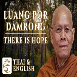 ”This Body is Just a Hotel ... You Don’t Own It!” | LP Damrong Siribhaddo