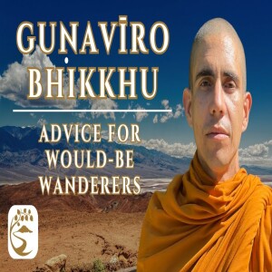 The Freedom of Wandering: Reflections of an Itinerant Monk  | Guṇavīro Bhikkhu Q&A