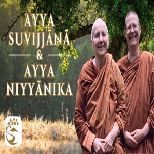 Five Faculties: The Indriyā as Probiotics for Practice | Ayyā Suvijjānā & Ayya Niyyānika