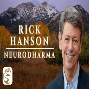 The Neural Correlates of Jhāna & Three Ways to Engage the Unconditioned | Rick Hanson Q&A