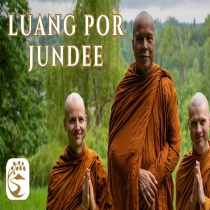 How Luang Por Chah Taught Me to Let Go | Luang Por Jundee Q&A