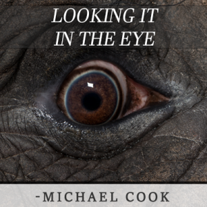 Looking It In The Eye - Michael Cook