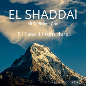 El Shaddai - I’ll Take It From Here - Pastor Rhonda Davis