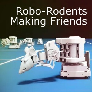 Ep.91 N:OW.2024.DEC10 Robot Rodents,  Spin Launch,