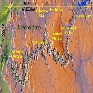 The Arizona Strip: A Premier Hunting Destination for Trophy Mule Deer and Mountain Lions