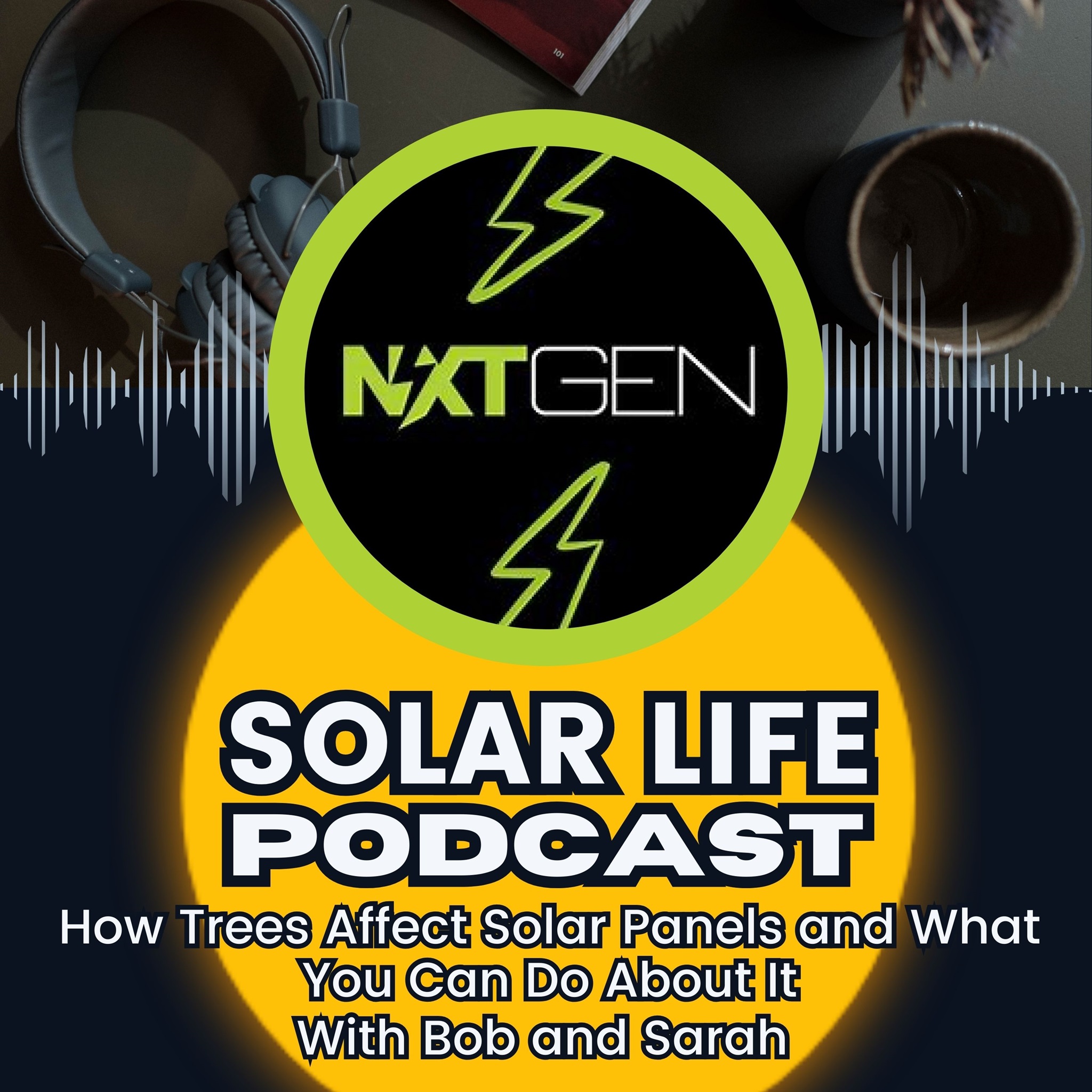 How Trees Affect Solar Panels and What You Can Do About It