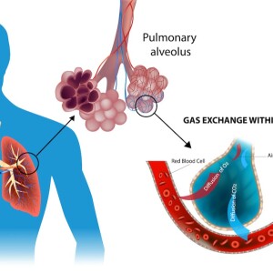Why do patients with AFib feel breathless?