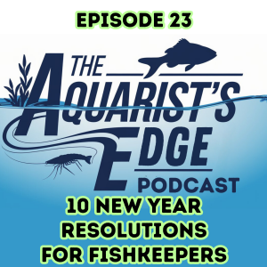 10 New Year Resolutions for Fishkeepers