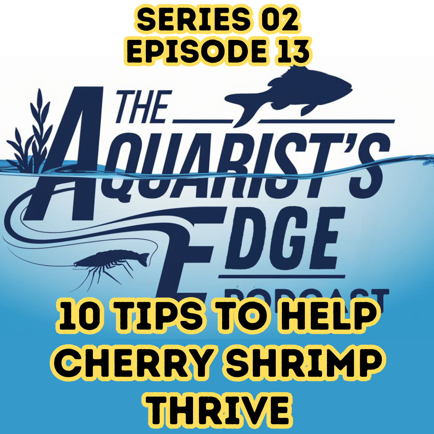 The Aquarist’s Edge [Weekly Aquarium Podcast]