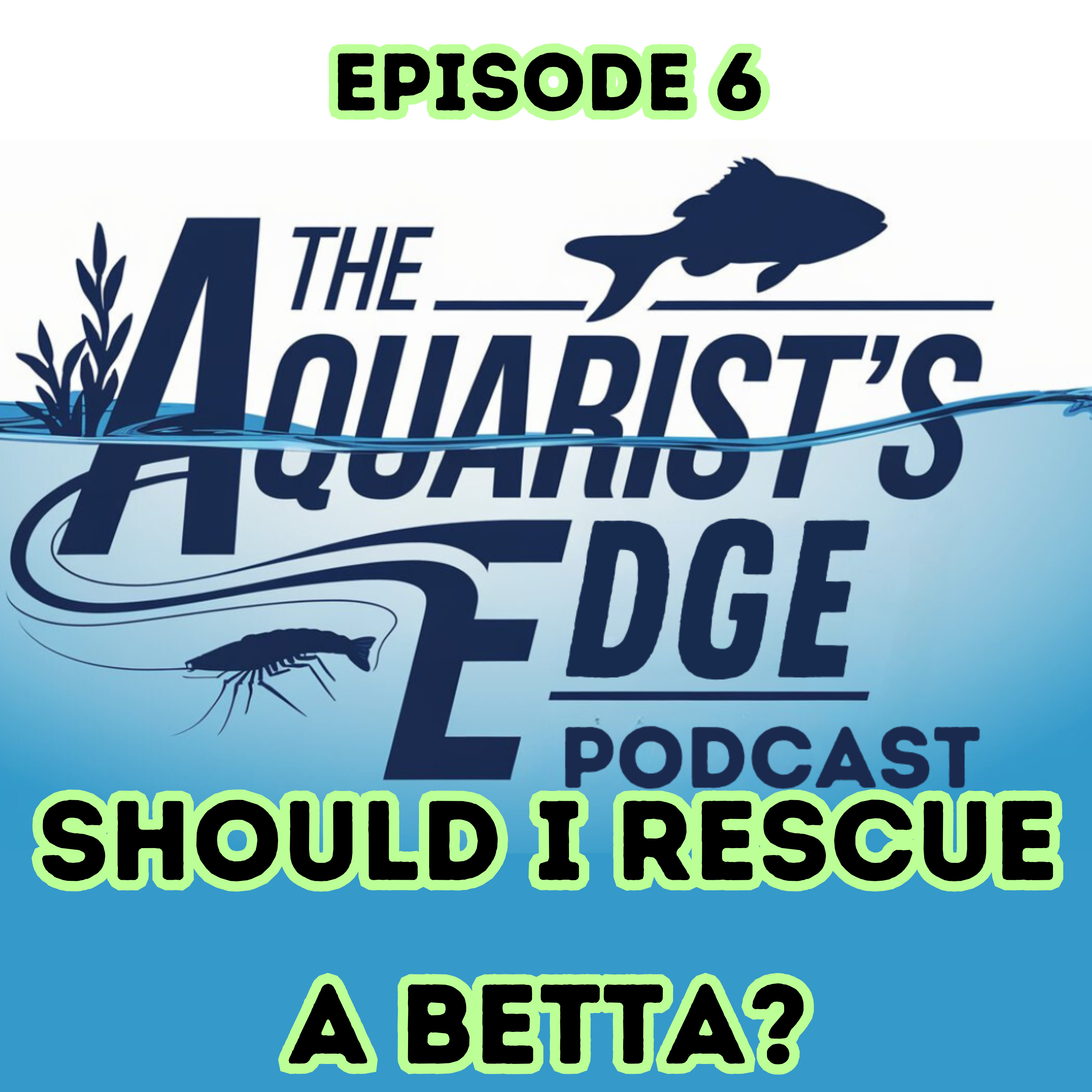 The Aquarist’s Edge [Weekly Aquarium Podcast]