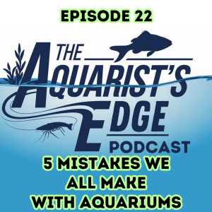 5 Easy Mistakes We All Make With Aquariums