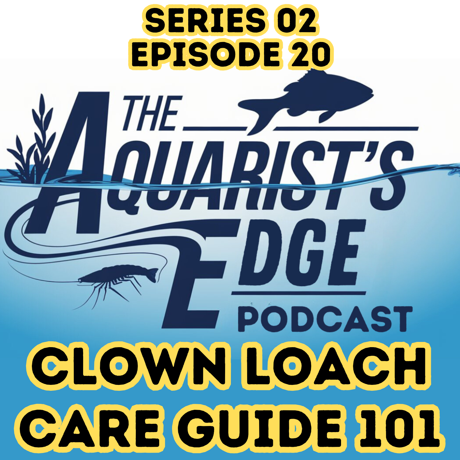 The Aquarist’s Edge [Weekly Aquarium Podcast]