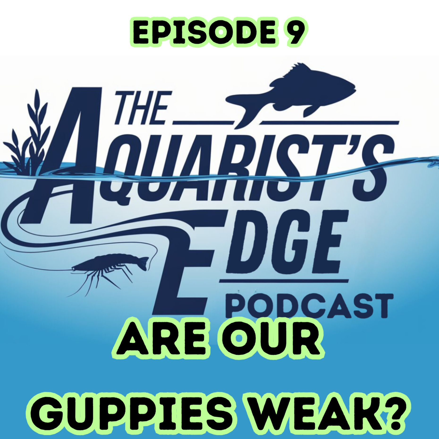 The Aquarist’s Edge [Weekly Aquarium Podcast]