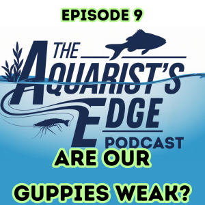 Are Our Guppies Weak?