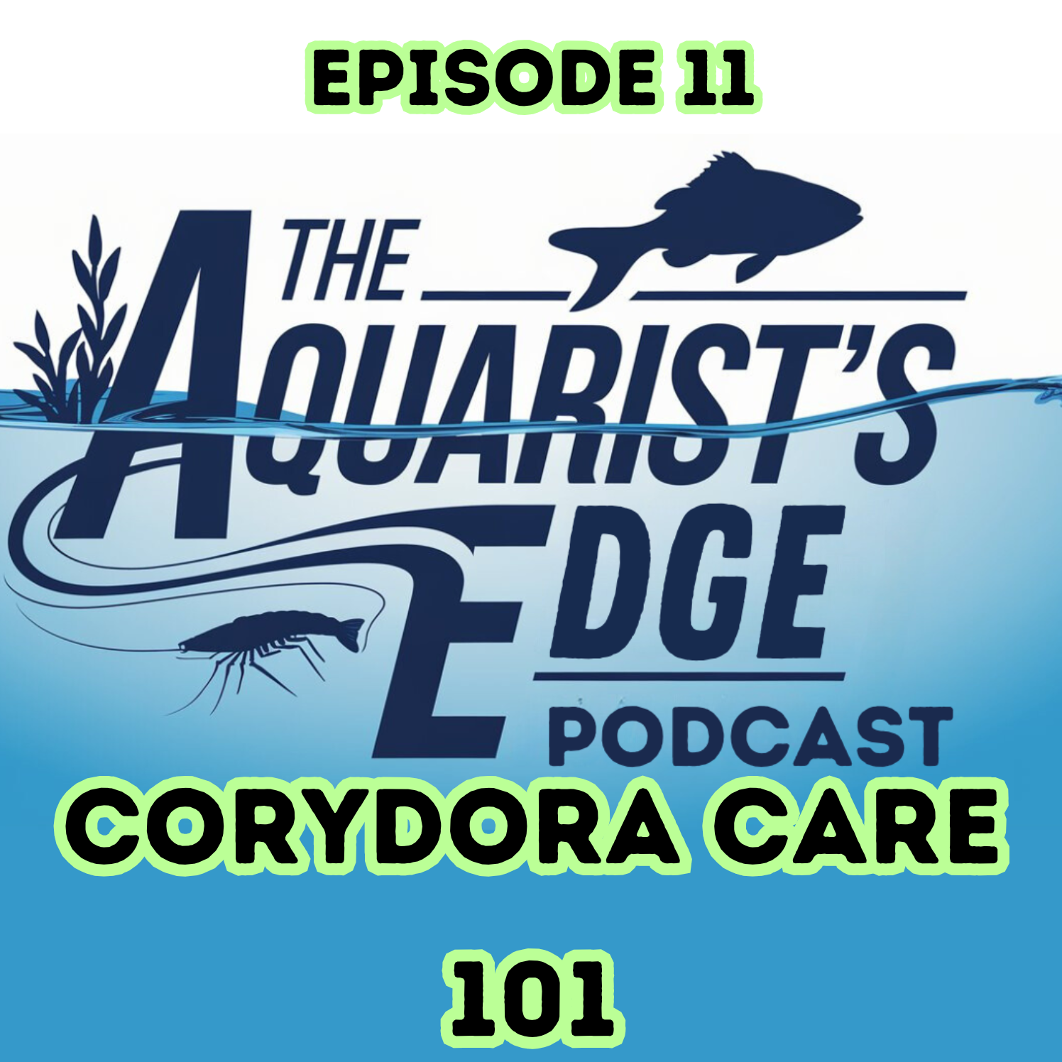 The Aquarist’s Edge [Weekly Aquarium Podcast]