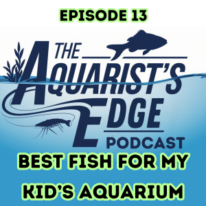 The Best Fish For Your Kids' Aquarium