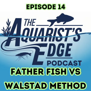 Father Fish vs Walstad - Which Method Should You Use?