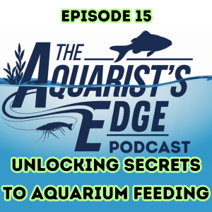 Unlocking the Secrets to Aquarium Feeding