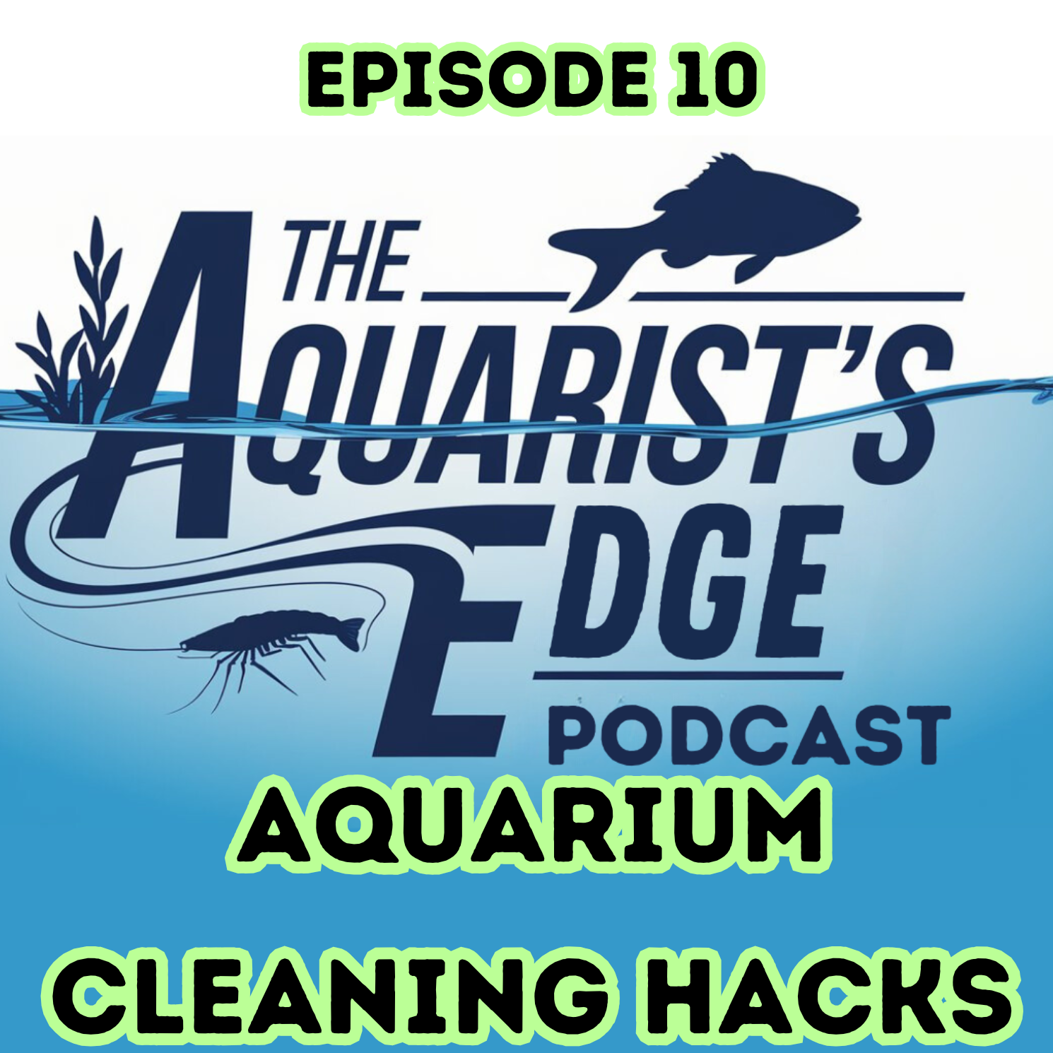 The Aquarist’s Edge [Weekly Aquarium Podcast]