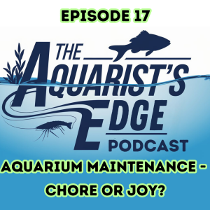 Aquarium Maintenance - Chore or Joy?